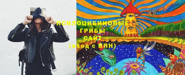 стафф Баксан